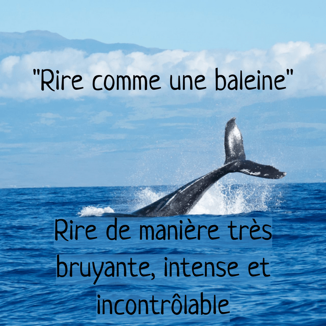 LE VOCAB VISUEL