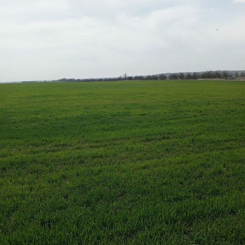 Купить Земельный участок в с.Луговое