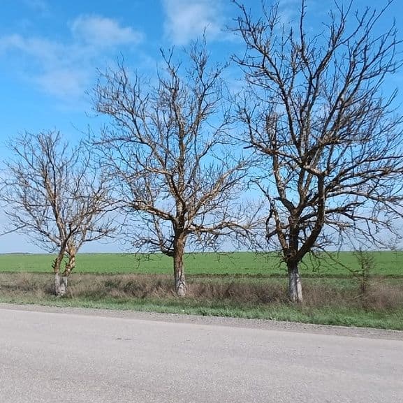 Купить Земельный участок с.Семисотка