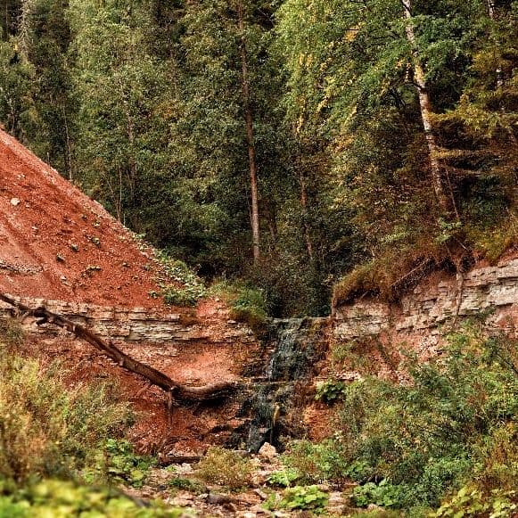 Купить Диван и кресло «Лео»