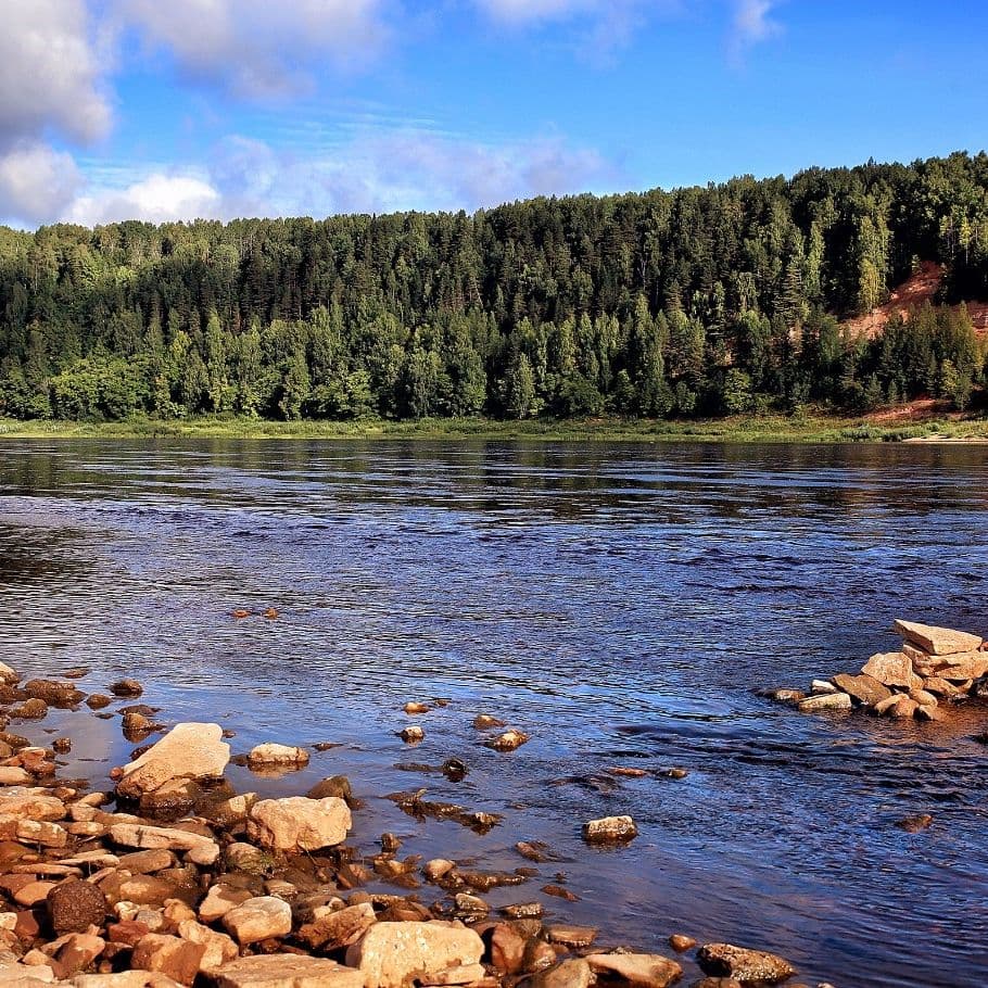 Купить Диван и кресло «Лео»