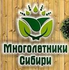 Многолетники Сибири