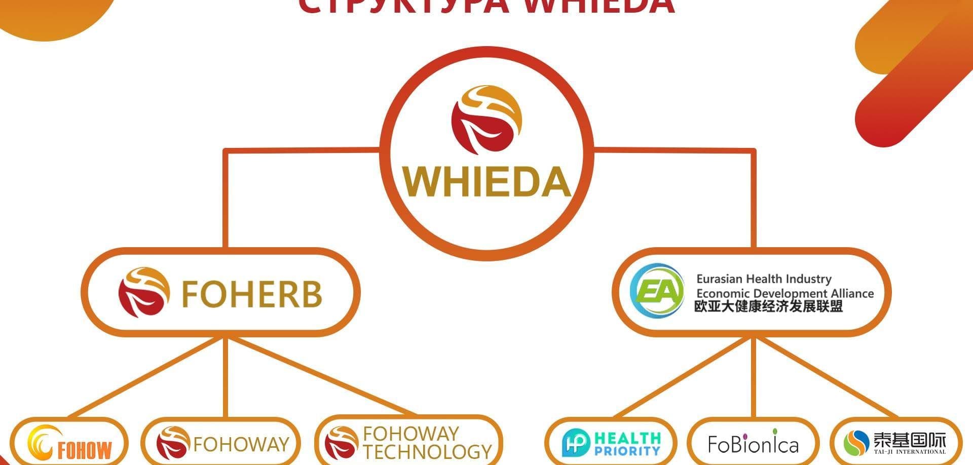 whieda структура