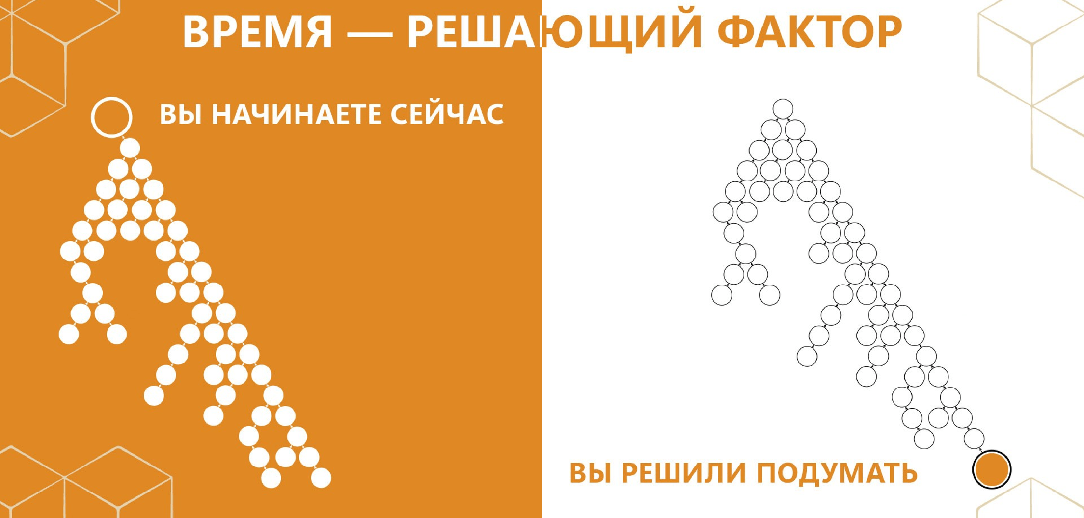 whieda регистрация виеда
