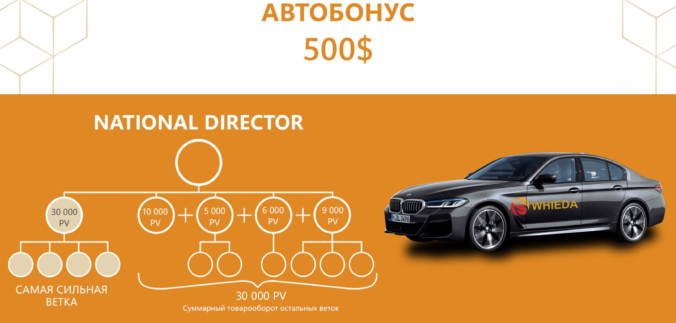 whieda виеда автобонус национальный директор