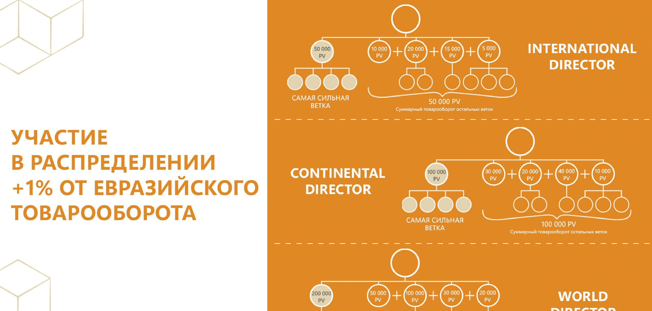 whieda виеда континентальный директор