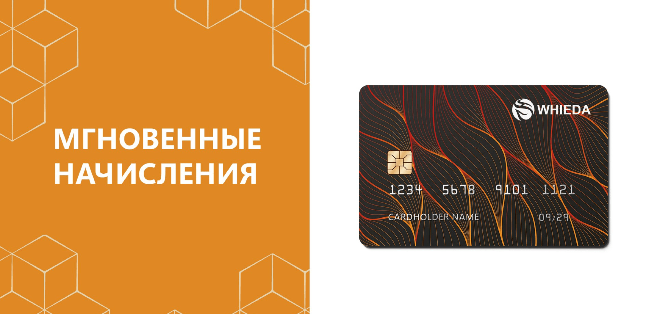 whieda ежедневные выплаты