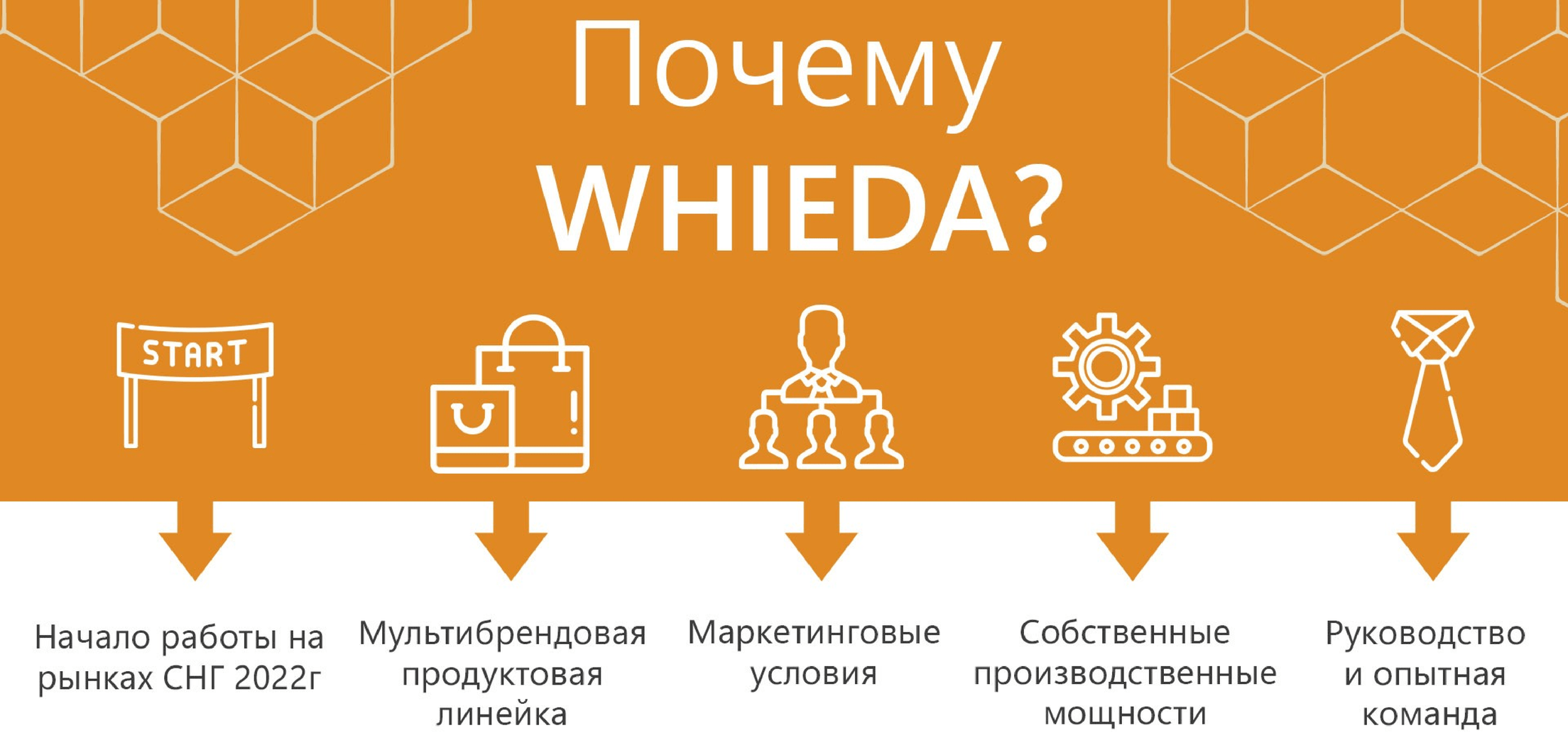 преимущества виеда whieda