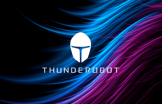 РемонтноутбуковThunderobot за 3 часа