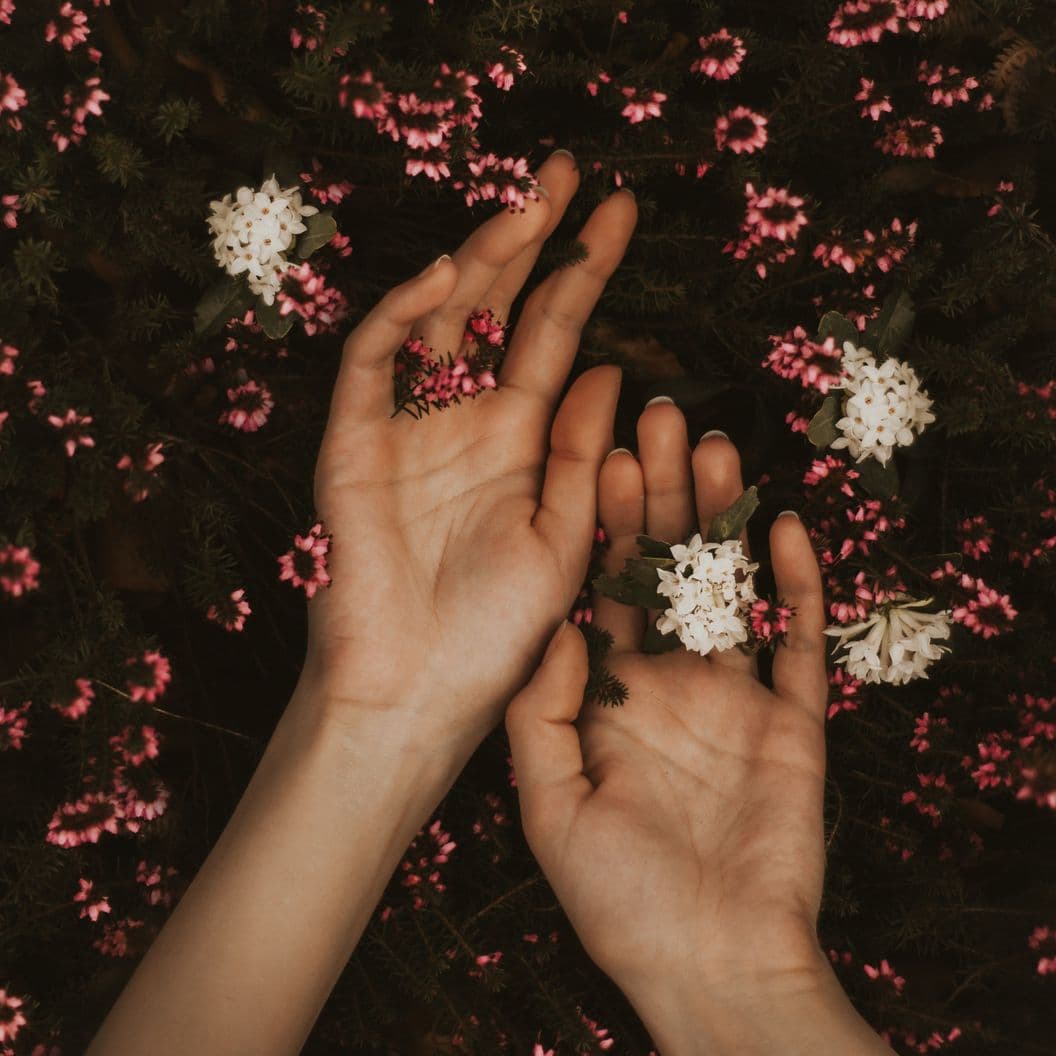 О чём расскажу на вебинаре