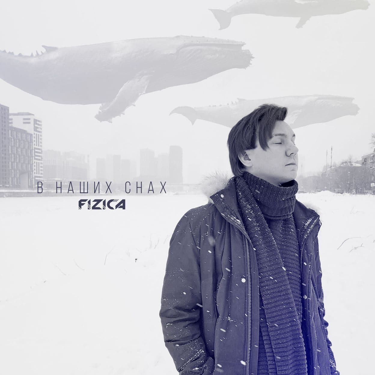 Купить FIZICA - В наших снах