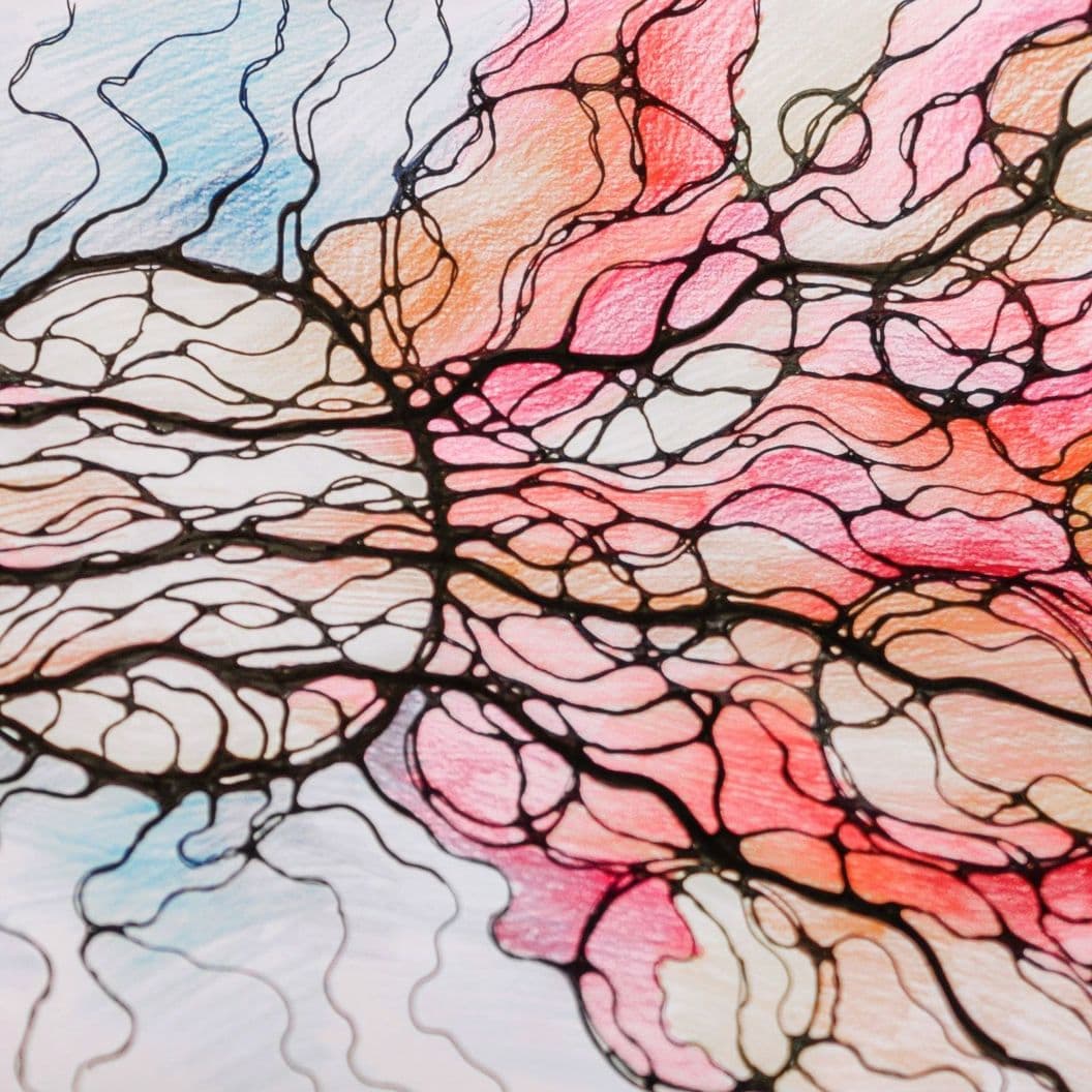 После курса Вы сможете: