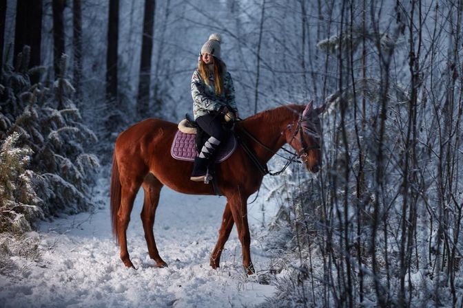 Фотосессии на лошадях