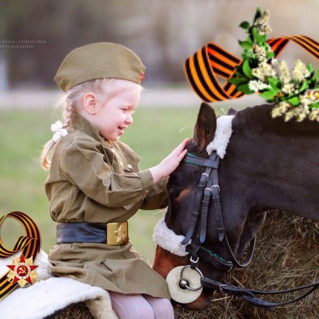 Фотосессии на лошадях