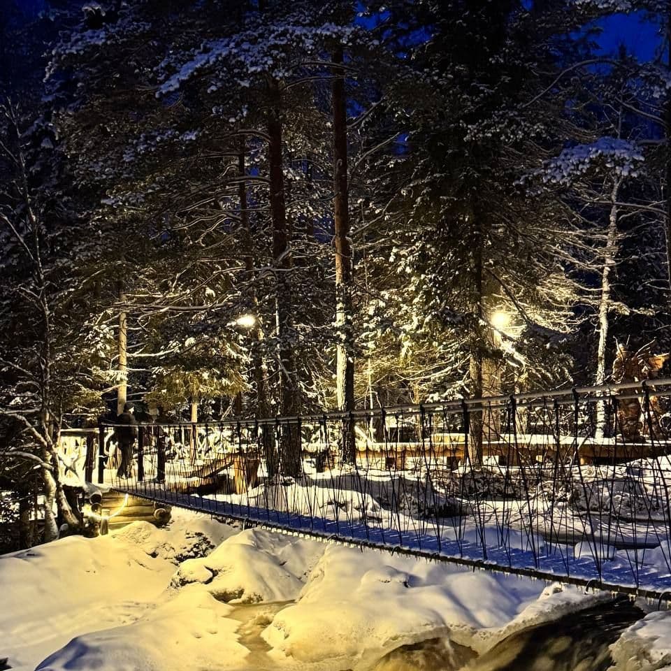 Купить Приглашаем вас встретить Новый 2026 год в отеле Aleon!