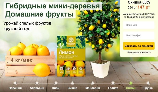 Minitrees - гибридные мини-деревья (Low price)