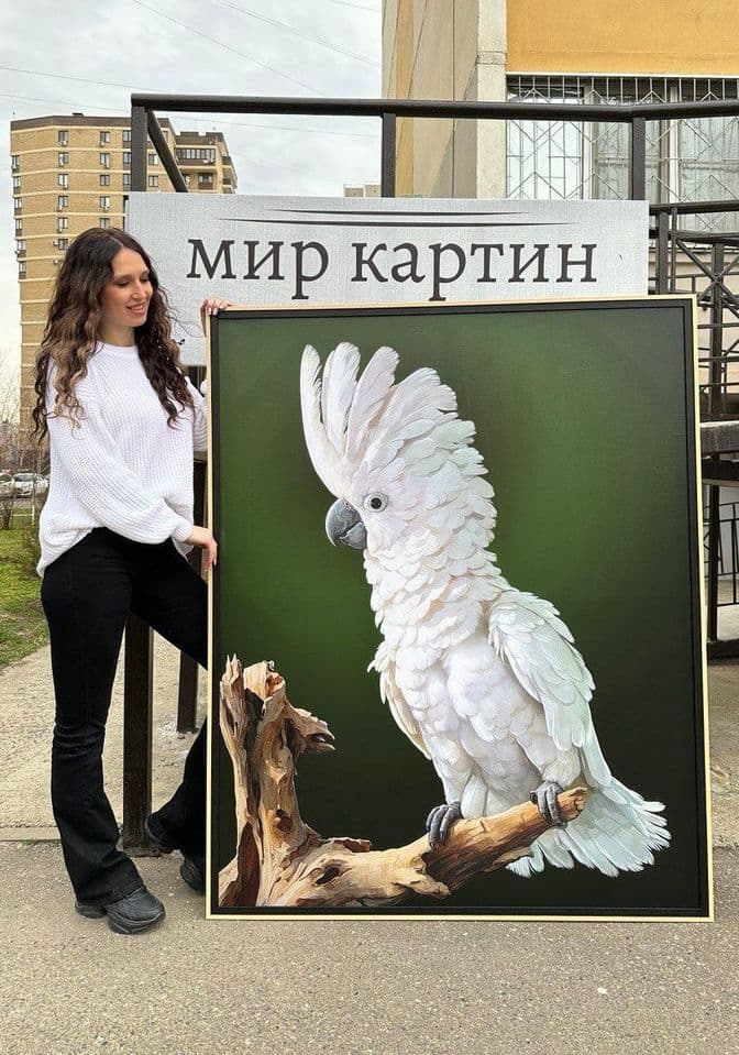 Галерея любимых работ