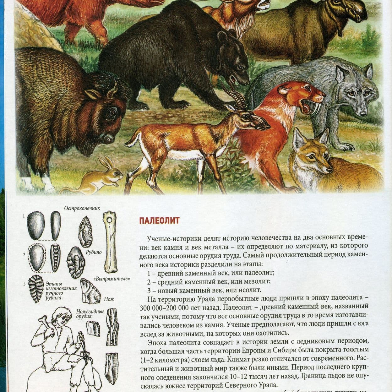 Купить Корецкая Т. Л.Земля за Камнем.Энциклопедия для детей
