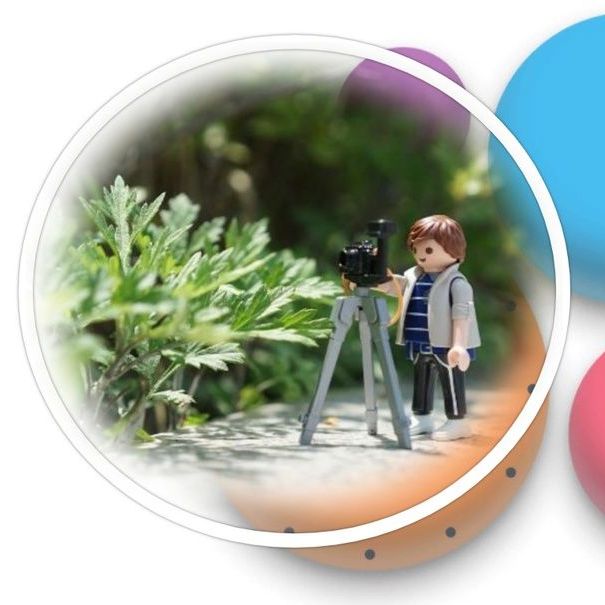 Купить Студия мультипликации