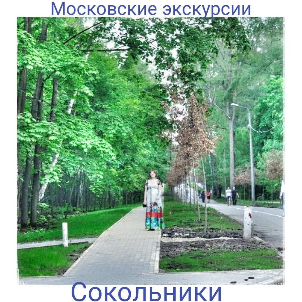 Купить Сокольники