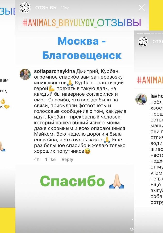 Отзывы в "соцсети-которую-нельзя-называть"1