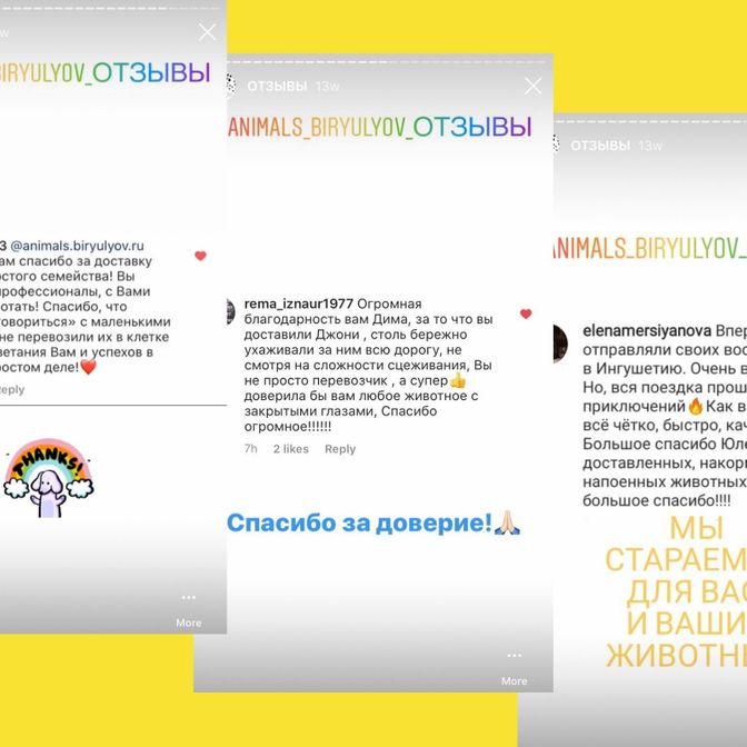Отзывы в "соцсети-которую-нельзя-называть"1