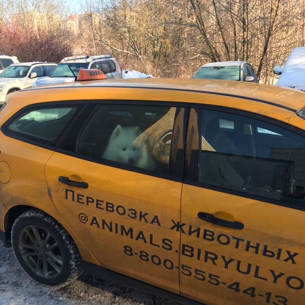 Как это работает?