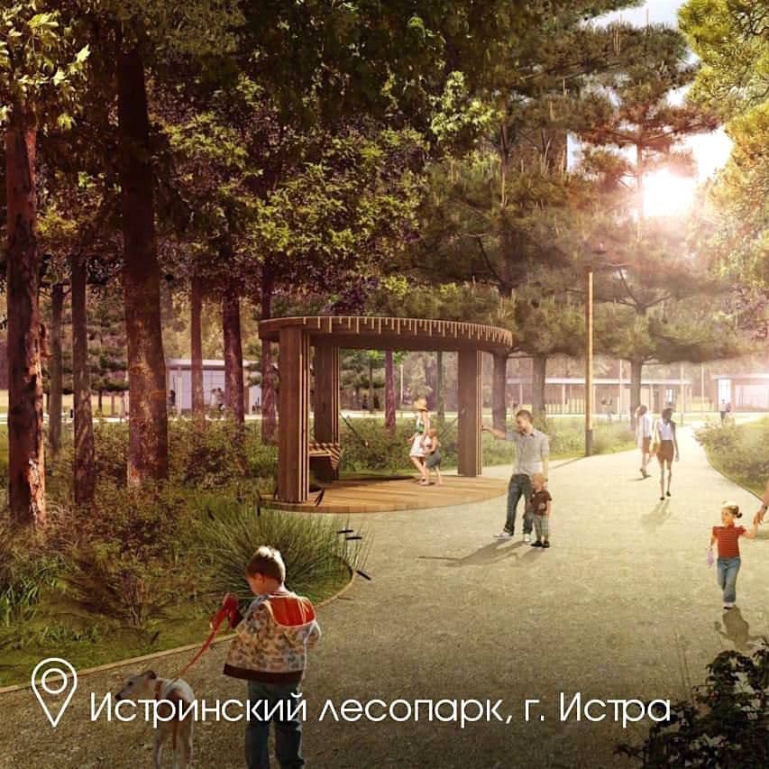 Истринский лесопарк в г.Истра