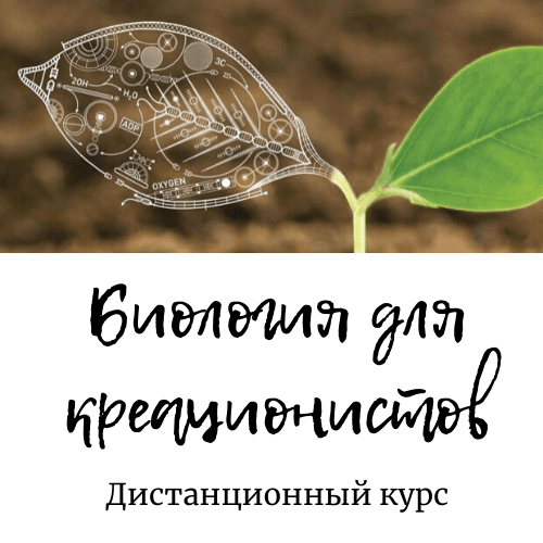 Купить Наши уникальные программы: Биология для креационистов