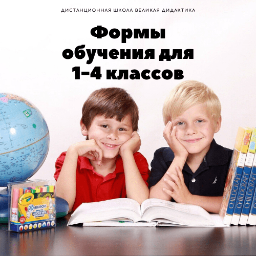 Купить У нас для разных предметов можно выбрать разные формы обучения.