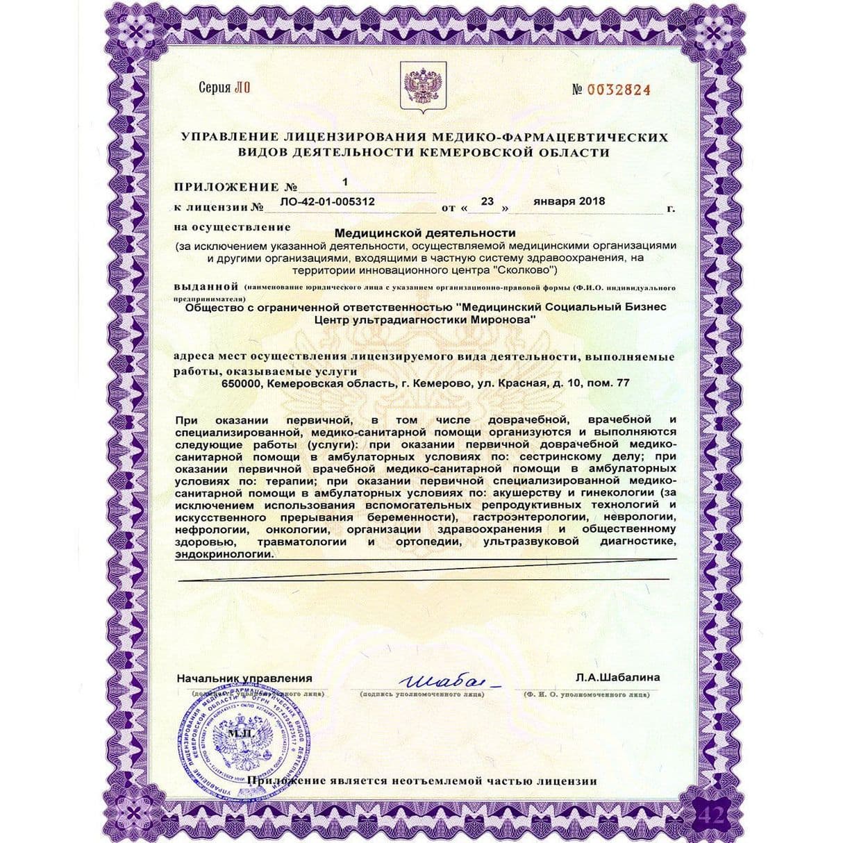 Приложение к лицензии на осуществление медицинской деятельности &nbsp;