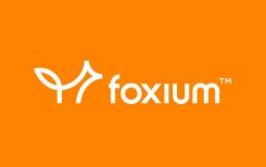 Онлайн казино с Foxium игровыми автоматами - бонус без депозита казино, казино бонус без депозита, бездепозитные казино, казино без депозита бонус, он