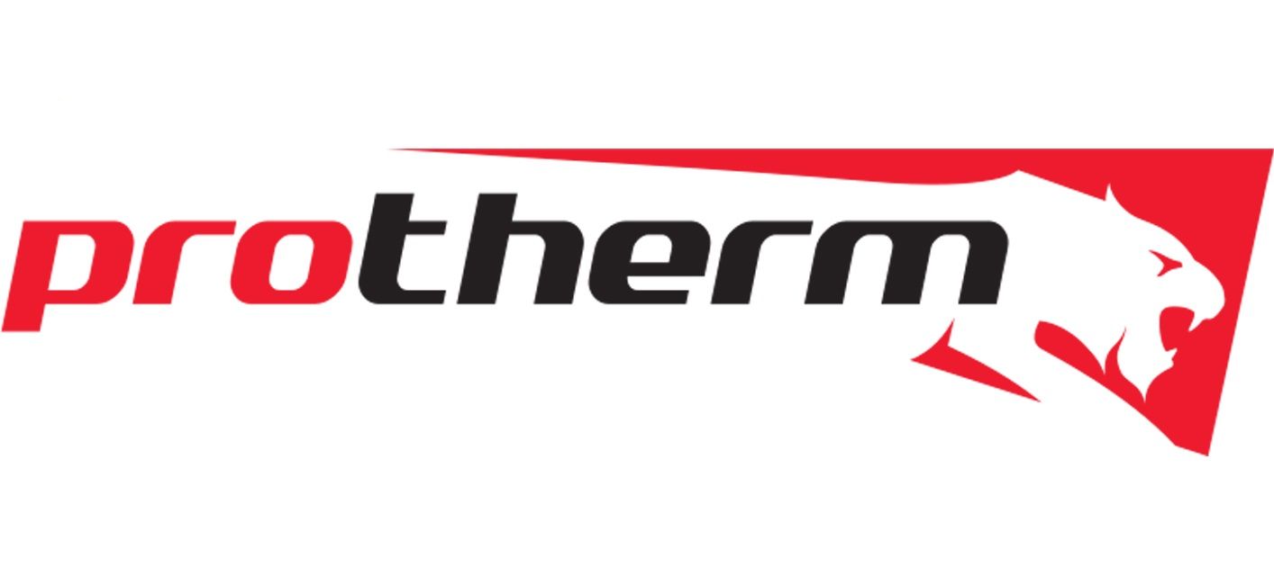 Ремонт газового котла Protherm  (Протерм)