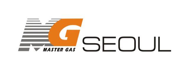 Ремонт газового котла MasterGas (Мастергаз)