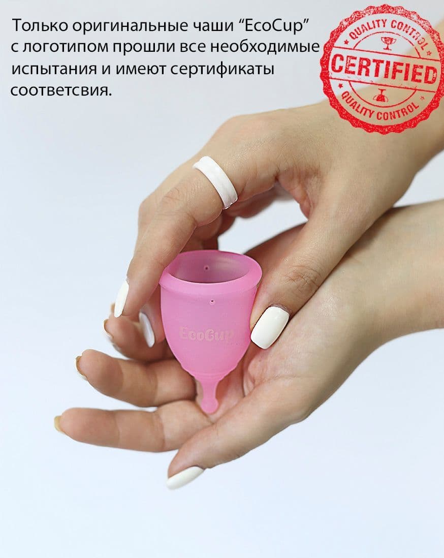 О главном