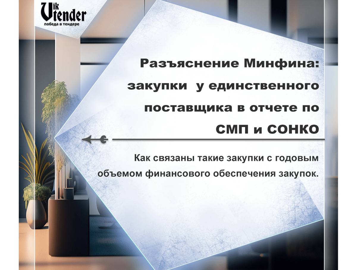Разъяснение Минфина: закупки у единственного поставщика в отчете по СМП и СОНКО