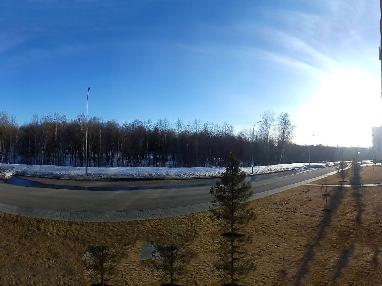 вид из окна квартиры на первом этаже в Лесной Поляне