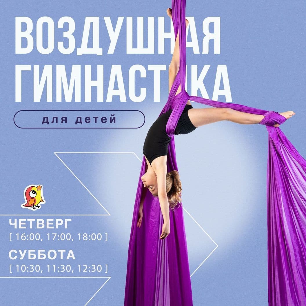 Купить Воздушная гимнастика - танцы на полотнах