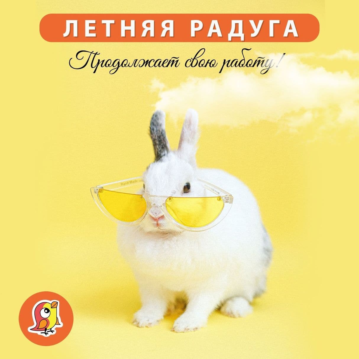 Занятия воздушной гимнастикой и акробатикой для детей