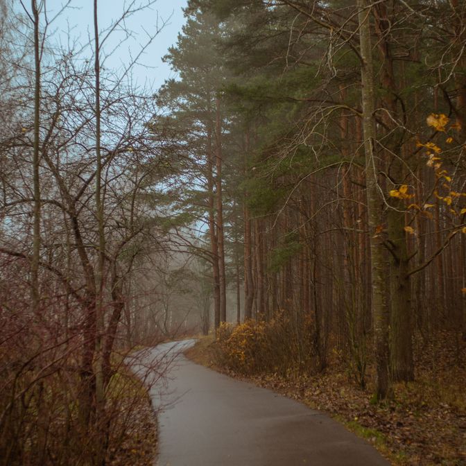 Галерея