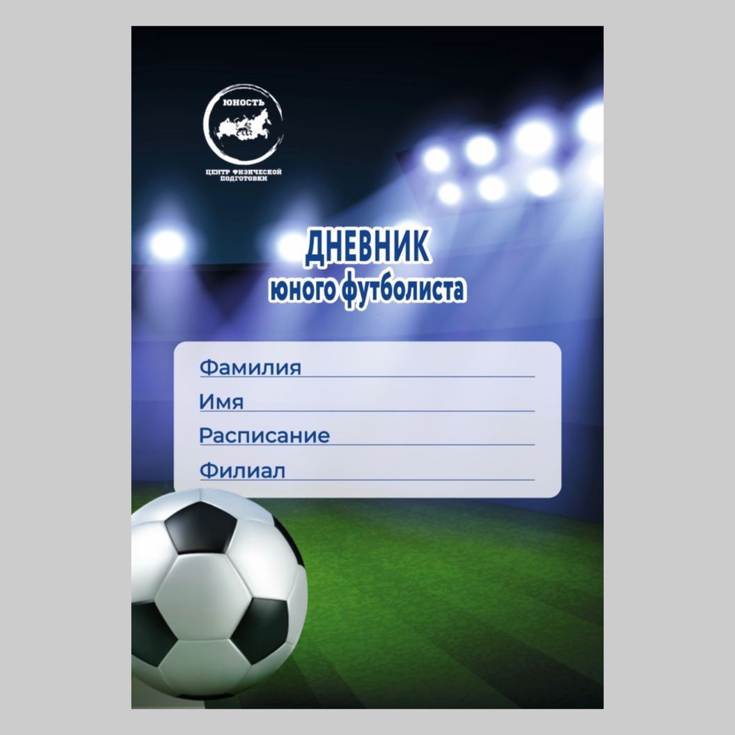 Купить Дневник футболиста