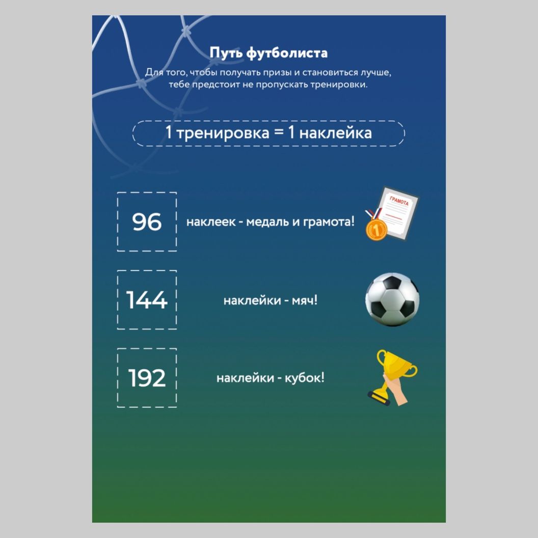 Купить Дневник футболиста