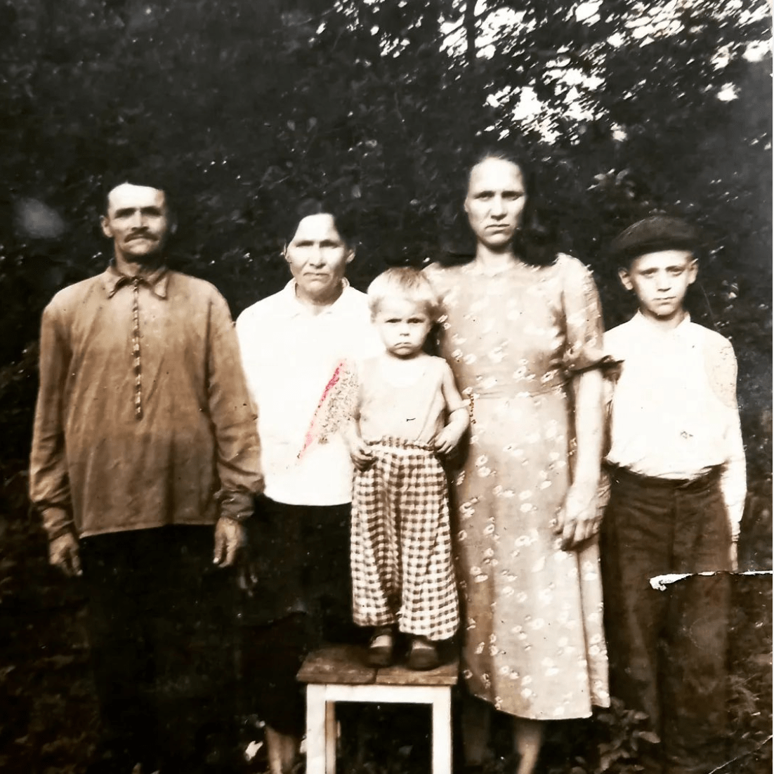 Светлана Любчич, сам себе генеалог, поиск родословной