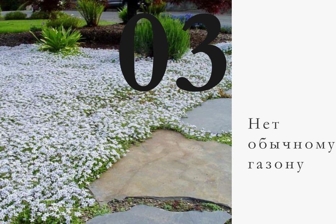 Ландшафтный проект, Ландшафтный дизайн Ижевск, Благоустройство, Озеленение Ижевск, Ландшафтная компания Ижевск, Системы полива, Газон, Укладка брусчат