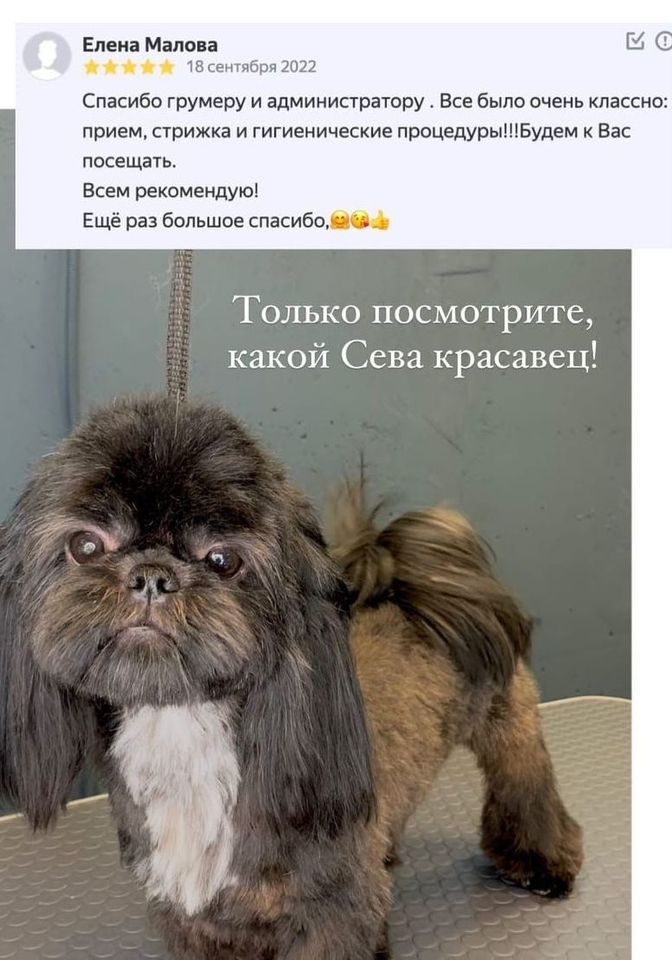 Отзывы наших клиентов