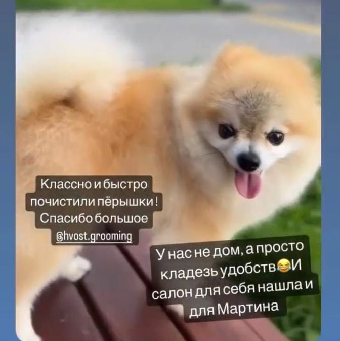 Отзывы наших клиентов