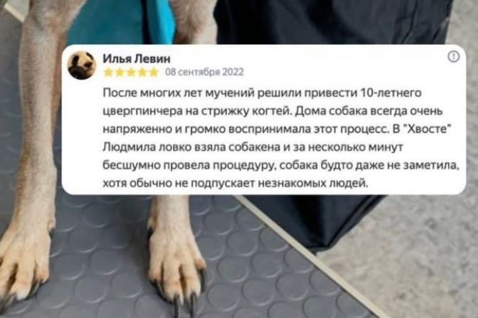 Отзывы наших клиентов
