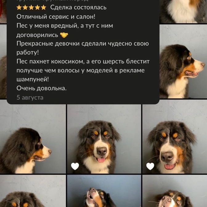 Отзывы наших клиентов
