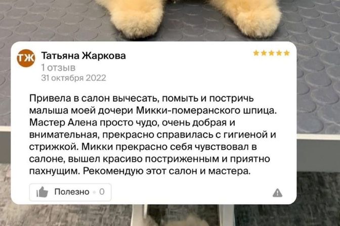 Отзывы наших клиентов