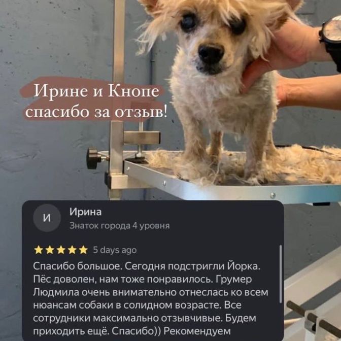Отзывы наших клиентов